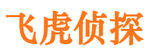 仪征外遇调查取证